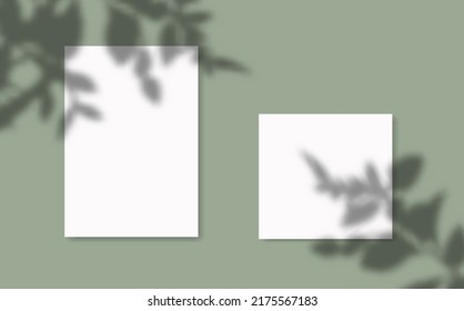 Drop shadow overlay effect on sheets of paper.Modern minimalist style.Scenes of natural lighting.For presentation  poster, blank, flyer,invitation,logo.