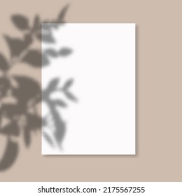 Drop shadow overlay effect on sheets of paper.Modern minimalist style.Scenes of natural lighting.For presentation  poster, blank, flyer,invitation,logo.