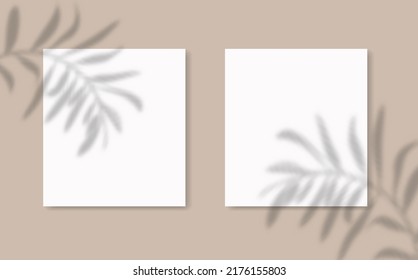 Drop shadow overlay effect on sheets of paper.Modern minimalist style.Scenes of natural lighting.For presentation  poster, blank, flyer,invitation,logo.