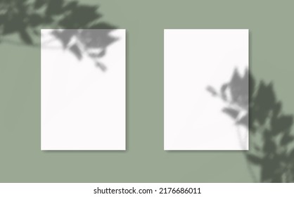 Drop shadow overlay effect on sheets of paper.Modern minimalist style.Scenes of natural lighting.For presentation  poster, blank, flyer,invitation,logo.