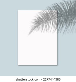 Drop shadow overlay effect on sheets of paper.Modern minimalist style.Scenes of natural lighting.For presentation  poster, blank, flyer,invitation,logo.