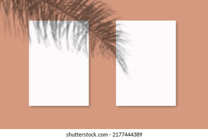 Drop shadow overlay effect on sheets of paper.Modern minimalist style.Scenes of natural lighting.For presentation  poster, blank, flyer,invitation,logo.