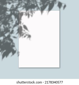 Efecto de superposición de sombra sobre las hojas de papel.Estilo minimalista moderno.Escenas de iluminación natural.Para el afiche de presentación, en blanco, volante, invitación, logotipo.
