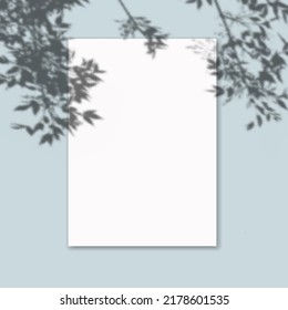 Drop shadow overlay effect on sheets of paper.Modern minimalist style.Scenes of natural lighting.For presentation  poster, blank, flyer,invitation,logo.