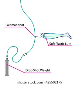 Drop Shot Lure Setup Bottom Fishing 