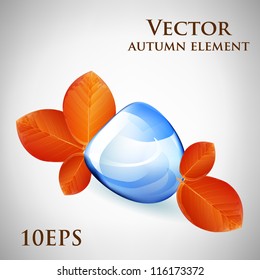 Drop of water with autumn leaves. Vector. Part of set.