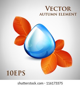 Drop of water with autumn leaves. Vector. Part of set.