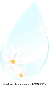Drop of water with daisies