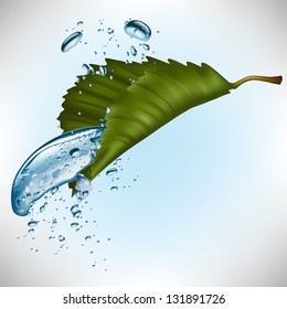 drop of water dripping from the green leaf
