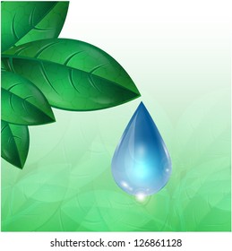 drop of water flowing down from green leaves