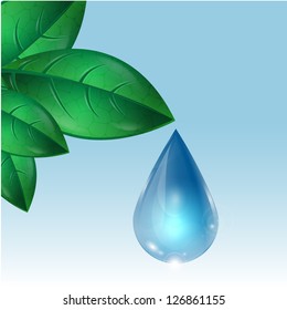 drop of water flowing down from green leaves