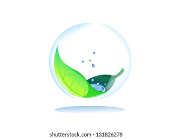 drop water in leaf inside transparency sphere