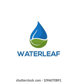drop water leaf logo template