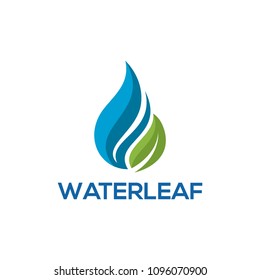 drop water leaf logo template