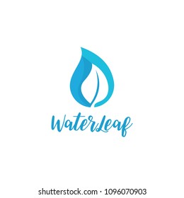 drop water leaf logo template