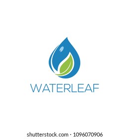 drop water leaf logo template