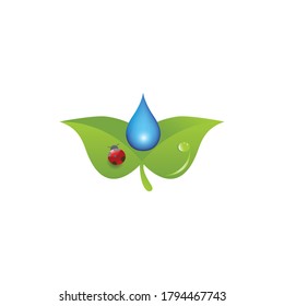 Gota de agua en la hoja con brote, también insecto en la hoja. 