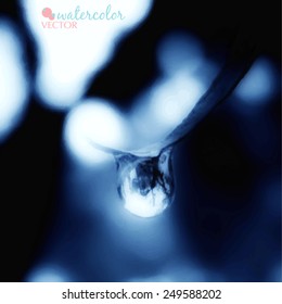 drop of water on  leaf  dark background vector illustration