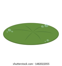 Drop of water on Lily pad. Lily pad vector. wallpaper. free space for text.