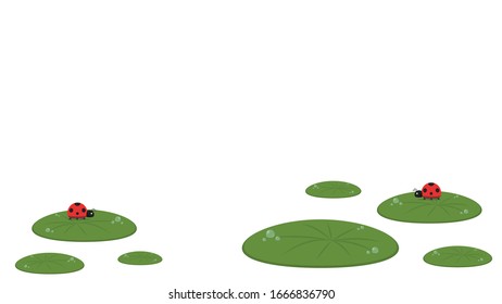 Drop of water on Lily pad. Lily pad vector. wallpaper. ladybug on Lily pad.