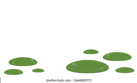 Drop of water on lotus leaf. Lotus leaf vector. wallpaper. free space for text.