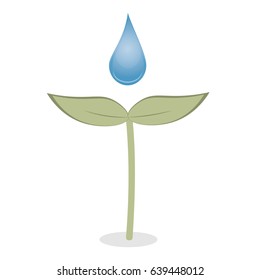 Drop of water on the plant. The concept of ecology. Vector illustration.