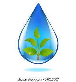 Drop Of Water With Sprout, Isolated On White Background, Vector Illustration