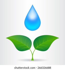 Drop of water with sprout. Vector Illustration.