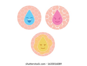 Droplet And Skin Icon Vector / Healthy Dry And Oily