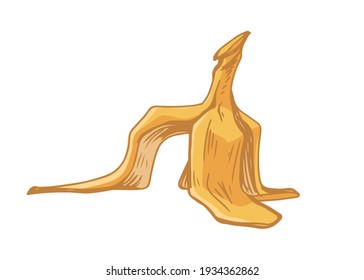 Dropped banana peel or skin. Fruit waste. Hand-drawn detailed vector illustration isolated on white background