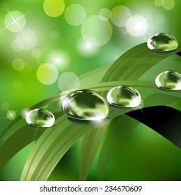 A drops of dew on a stalk of grass. Nature vector summer background.