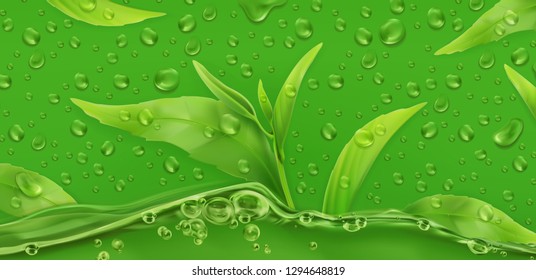 Drops. Green tea. 3d realistic vector