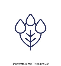 Drops and leaf icon, line design