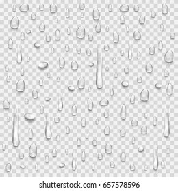 Drops on a transparent background. Vector illustration