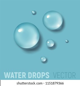 Drops of water. 3d realistic vector illustration. Realism style. Macro