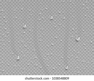 Drops of water, dew falls. Rain or shower drops isolated on transparent background. Realistic pure water droplets condensed. Vector clear vapor bubbles on window glass surface for your design.