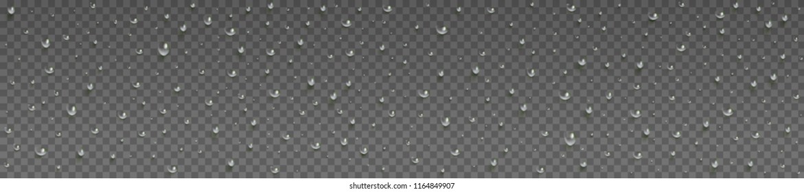 Drops of water, dew falls. Rain or shower drops isolated on transparent background. Realistic pure water droplets condensed. Vector clear vapor bubbles on window glass surface for your design.