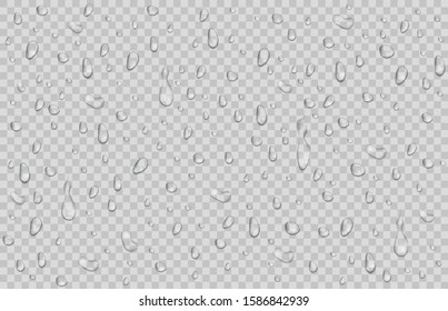 Drops of water, dew falls. Rain or shower drops isolated on transparent background. Vector illustration