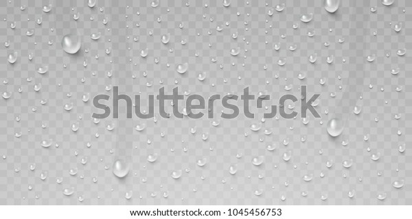 水滴露 透明な背景に雨またはシャワー滴 リアルな純粋な水滴が凝縮 窓ガラスの表面にベクターの透明な蒸気泡が付き デザインに合わせて使用できます の ベクター画像素材 ロイヤリティフリー