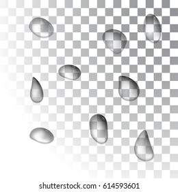 Drops of water on a transparent background. Vector illustration