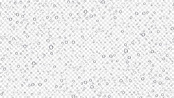 Drops Water Rain On Transparent Background, Realistic Style, Vector Elements. Clean Drop Condensation. Vector Pure Bubbles On Window Glass

