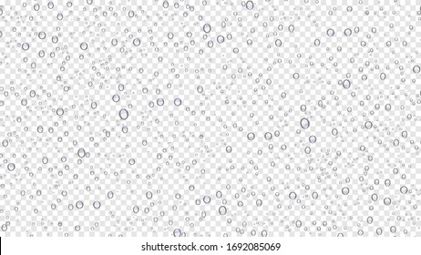 Drops water rain on transparent background, realistic style, vector elements. Clean drop condensation. Vector pure bubbles on window glass
