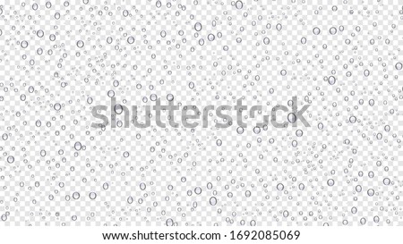 Drops water rain on transparent background, realistic style, vector elements. Clean drop condensation. Vector pure bubbles on window glass
