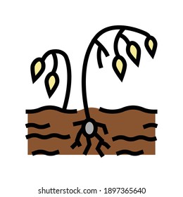 drought poverty problem color icon vector. drought poverty problem sign. isolated symbol illustration