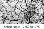 Drought-cracked dirt floor texture - illustration. Abstract background including drought, monochromatic texture image black and white tone effects.