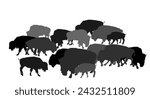 Drove of Bison vector silhouette illustration isolated on white background. Herd of Buffalo, symbol of America. Strong animal, Indian culture. Shape Bison family shadow.