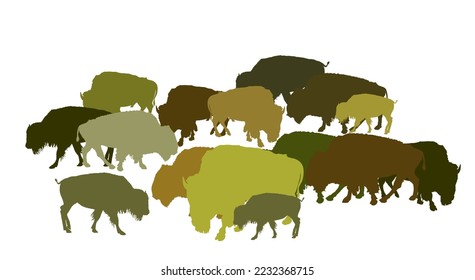 Drove of Bison vector silhouette illustration isolated on white background. Herd of Buffalo, symbol of America. Strong animal, Indian culture. Shape Bison family shadow.