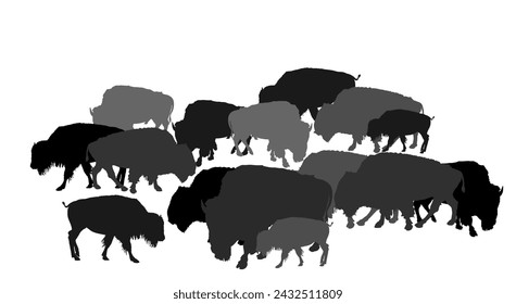 Drove of Bison vector silhouette illustration isolated on white background. Herd of Buffalo, symbol of America. Strong animal, Indian culture. Shape Bison family shadow.