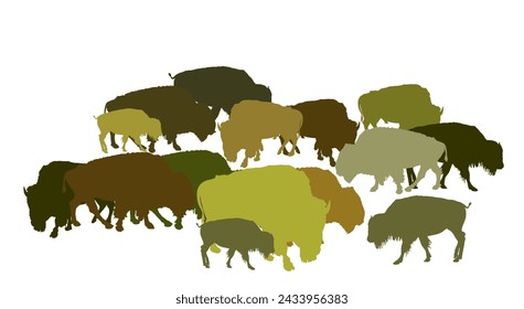 Drove of Bison vector silhouette illustration isolated on white background. Herd of Buffalo, symbol of America. Strong animal, Indian culture. Shape Bison family shadow.