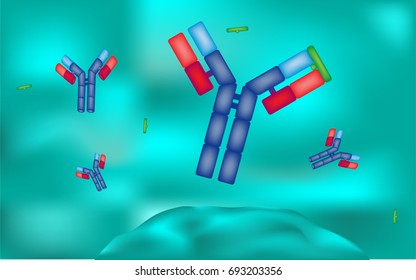 Drug Antigen Binding Antibody In The Body Environment 